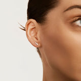 Les boucles d'oreilles Estrella en Or blanc sont conçues pour vous permettre de créer différents looks en fonction de vos envies. Leur design polyvalent vous offre la possibilité de les porter de différentes façons, que ce soit en les portant seules pour un look minimaliste ou en les associant à d'autres bijoux pour un style plus audacieux.