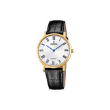 Montre Homme Festina SWISS F20016/4